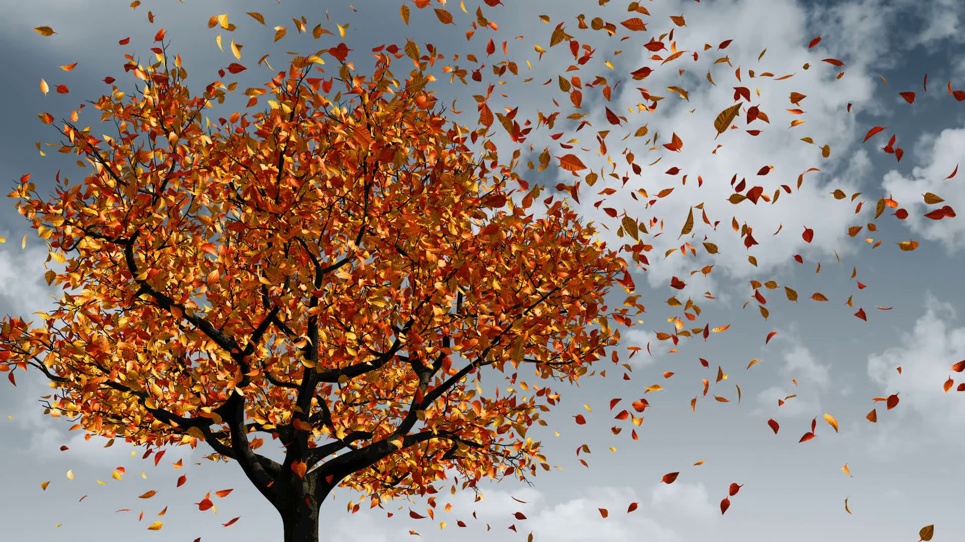 concept-of-changing-of-the-seasons-from-spring-to-autumn-leaves-appear-on-the-tree-they-turn-yellow-and-then-fall-off-3d-animation-4k-3840x2160_b0f3muokye_thumbnail-full13